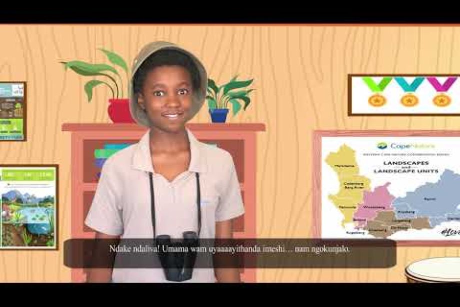 Image related to website content Image related to website content