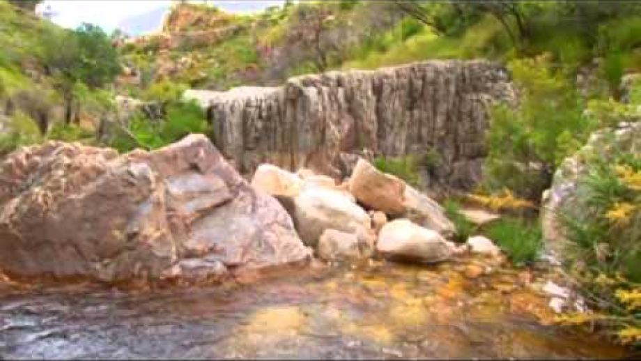 Image related to website content Image related to website content