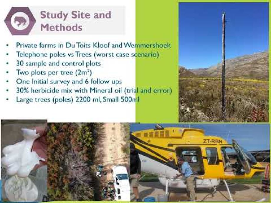 Image related to website content Image related to website content