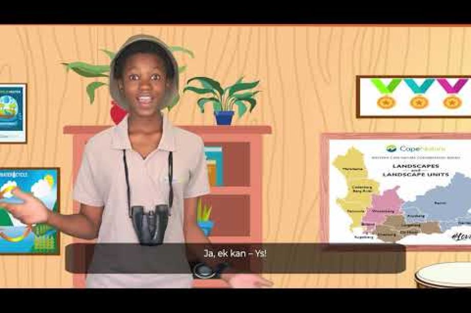 Image related to website content Image related to website content