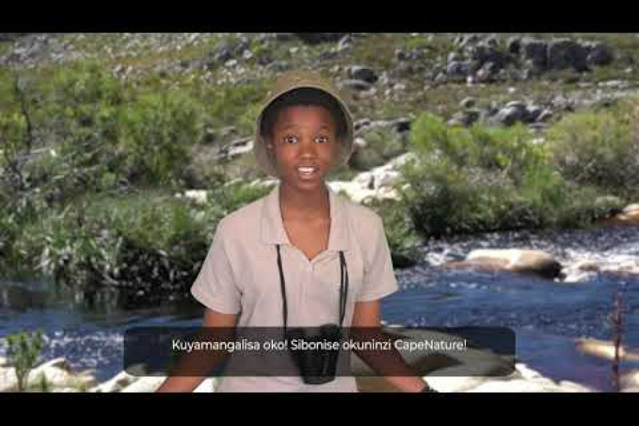 Image related to website content Image related to website content