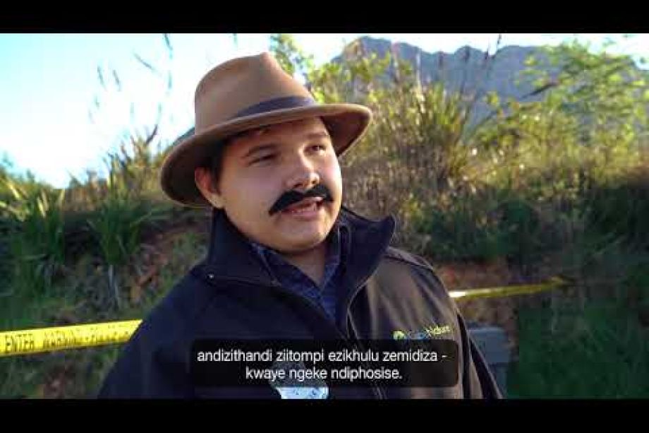 Image related to website content Image related to website content