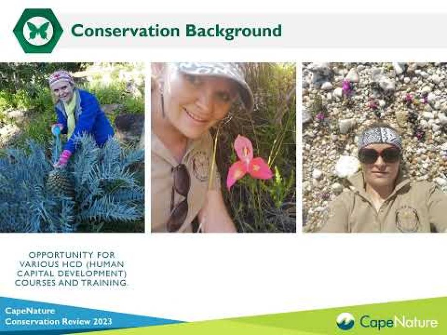 Image related to website content Image related to website content