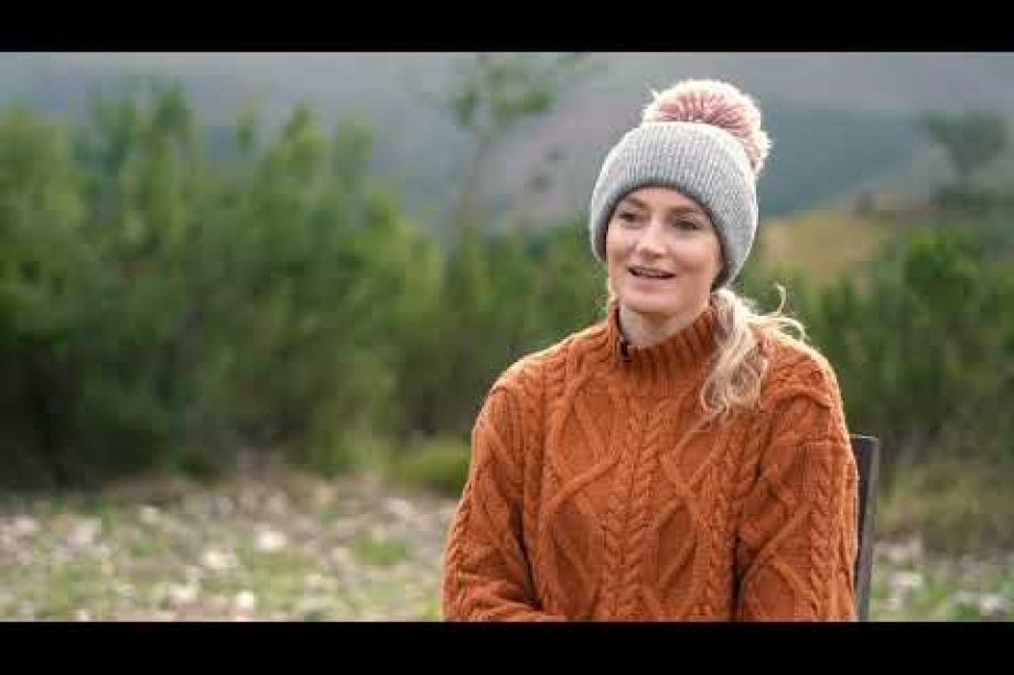 Image related to website content Image related to website content