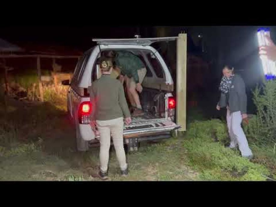 Image related to website content Image related to website content