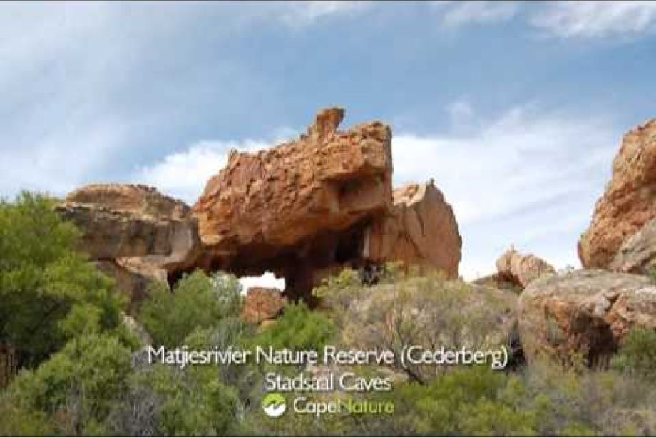 Image related to website content Image related to website content