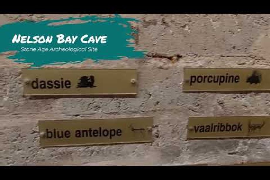 Image related to website content Image related to website content