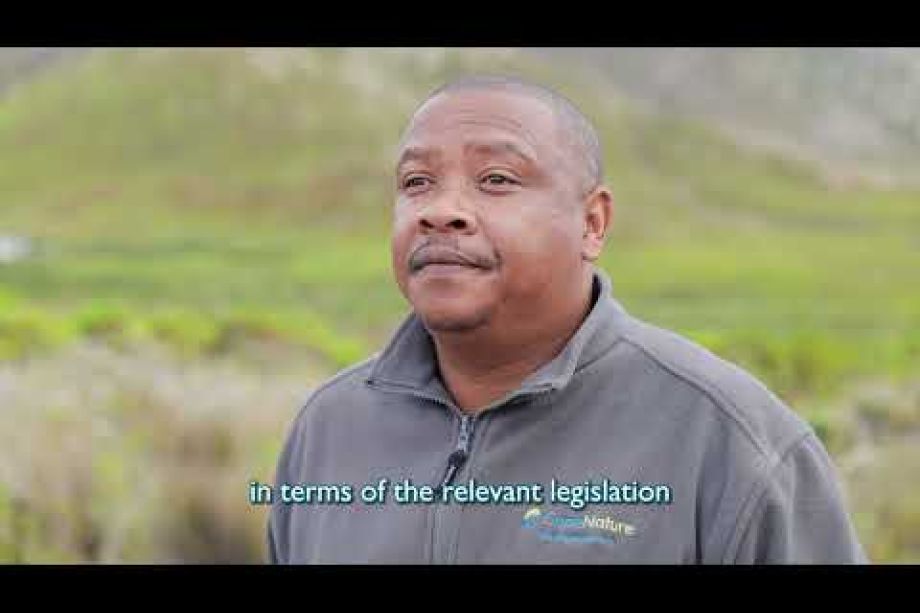 Image related to website content Image related to website content