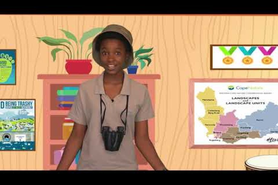 Image related to website content Image related to website content