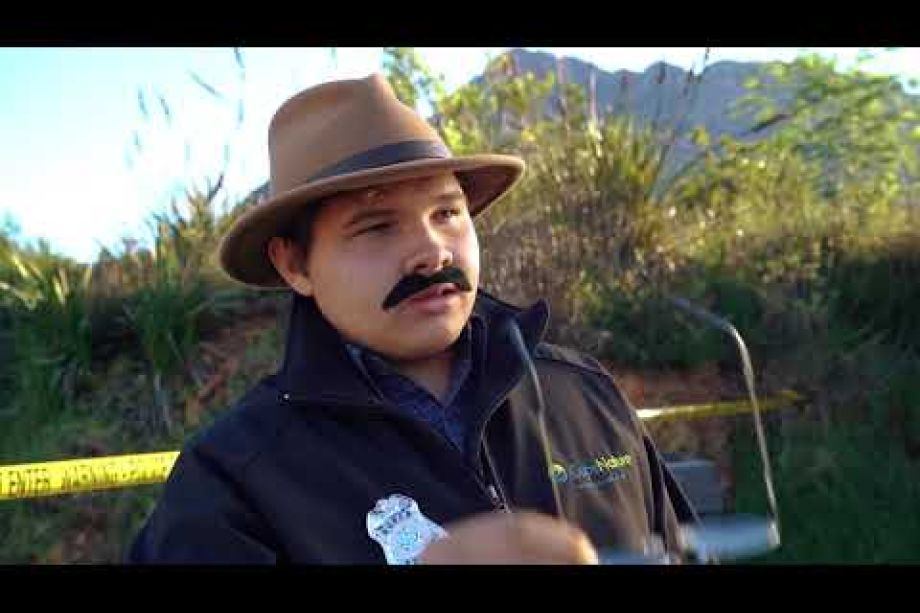 Image related to website content Image related to website content