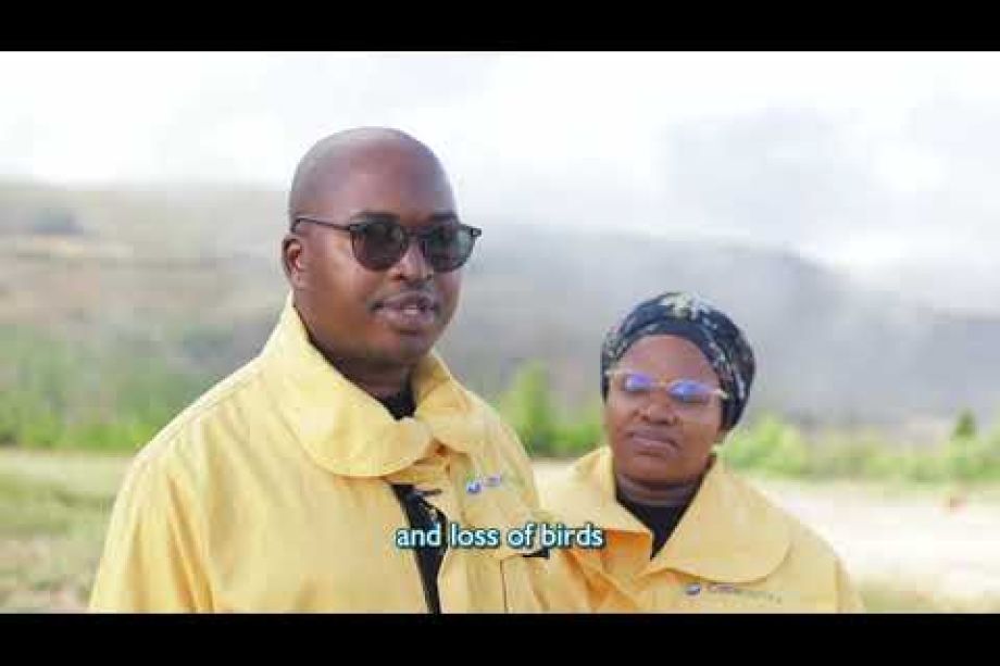 Image related to website content Image related to website content