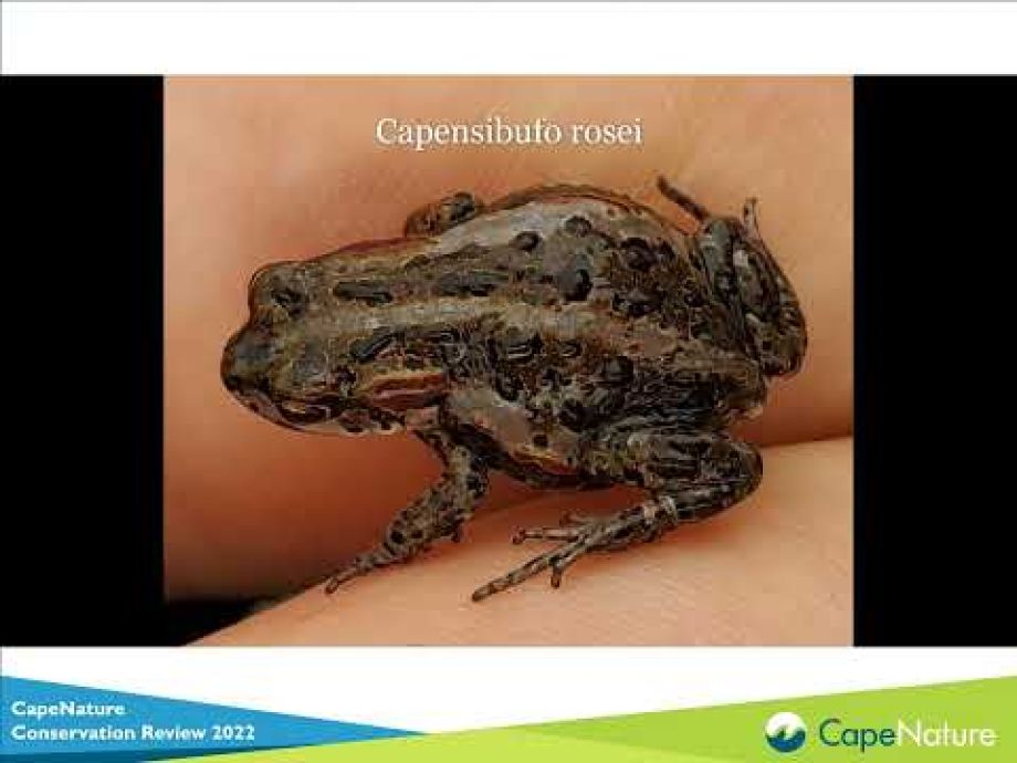 Image related to website content Image related to website content