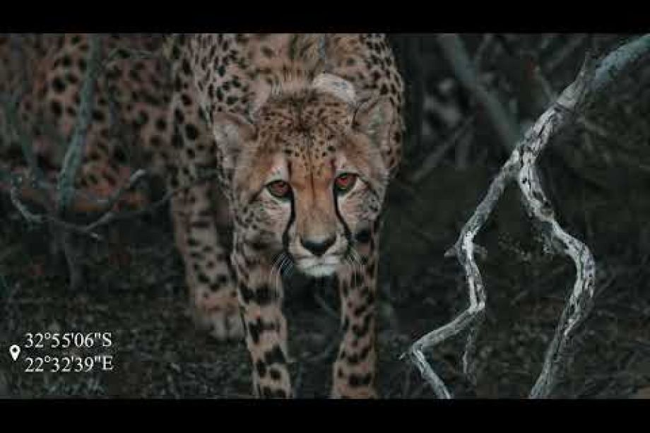 Image related to website content Image related to website content