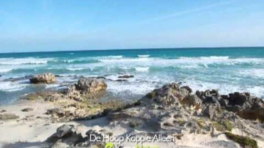 Image related to website content Image related to website content