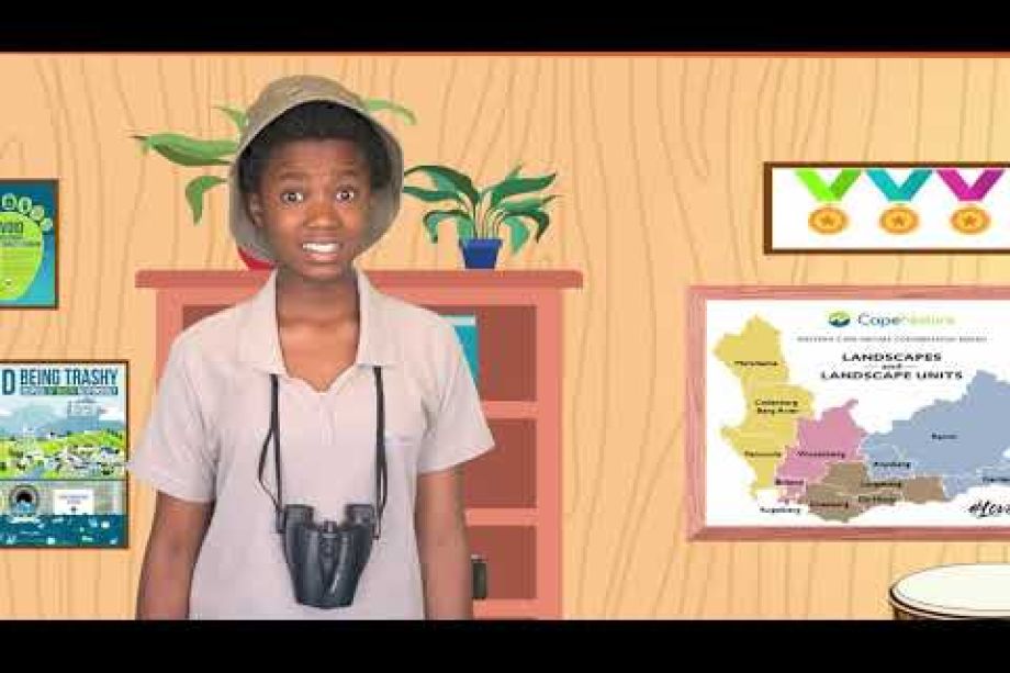 Image related to website content Image related to website content