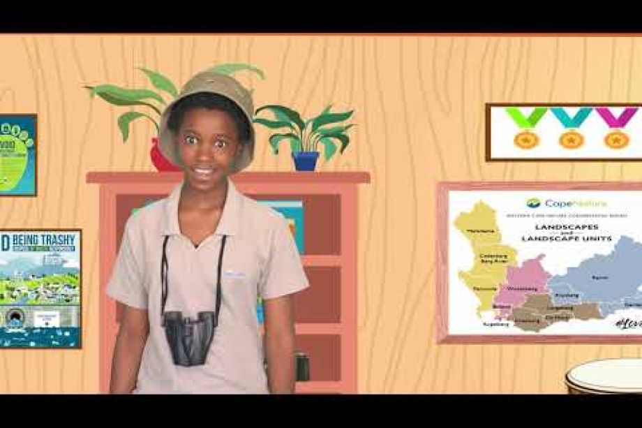 Image related to website content Image related to website content