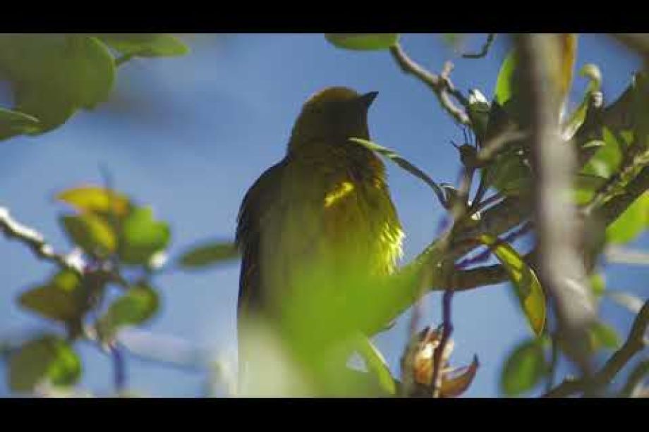 Image related to website content Image related to website content