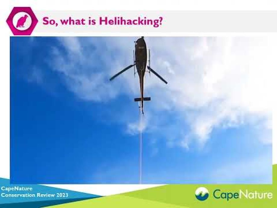 Image related to website content Image related to website content