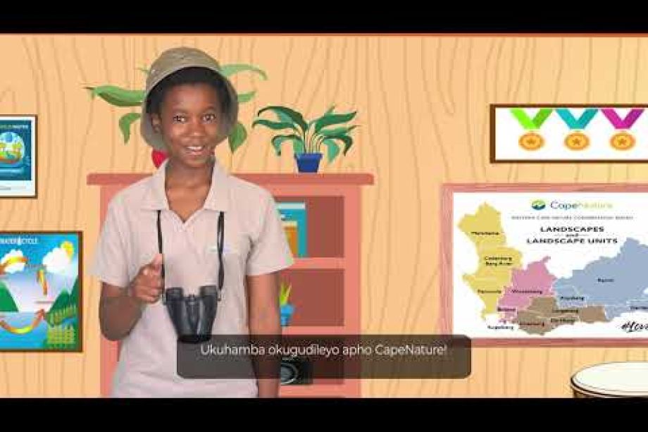 Image related to website content Image related to website content