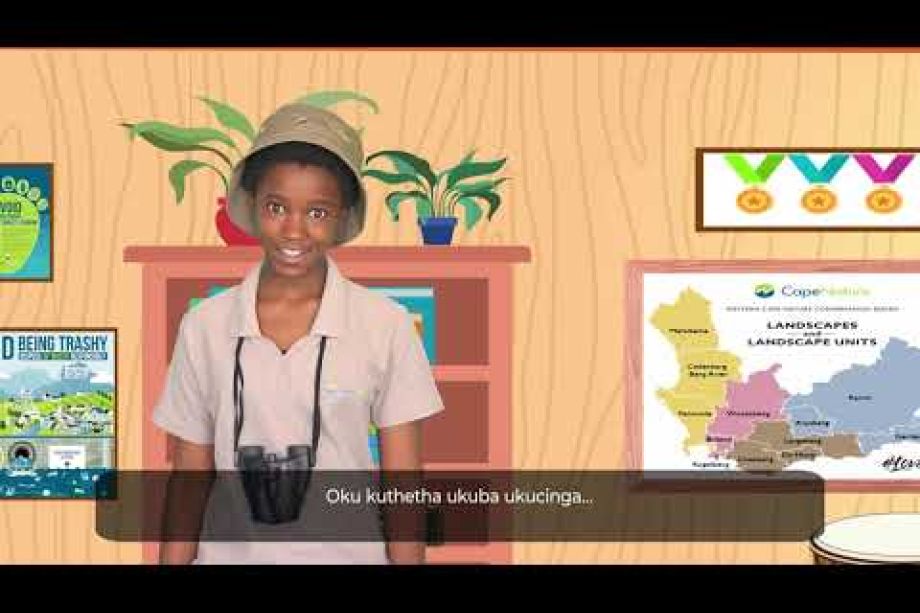 Image related to website content Image related to website content