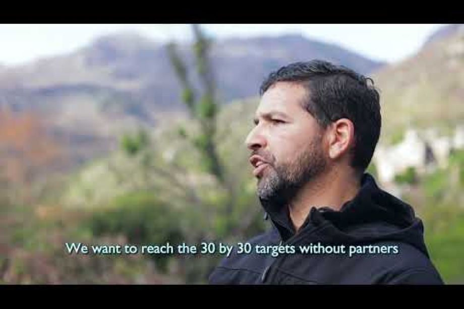 Image related to website content Image related to website content