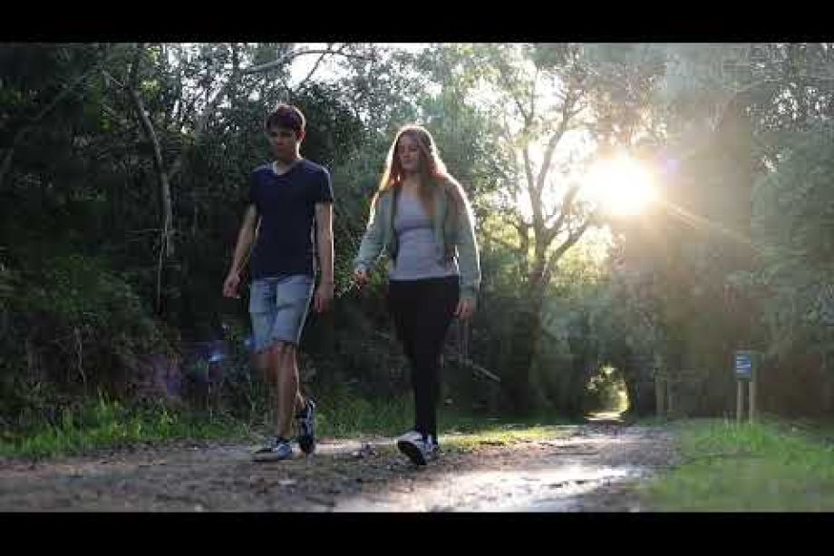 Image related to website content Image related to website content