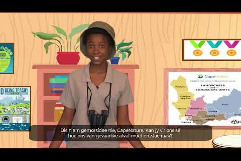 Image related to website content Image related to website content