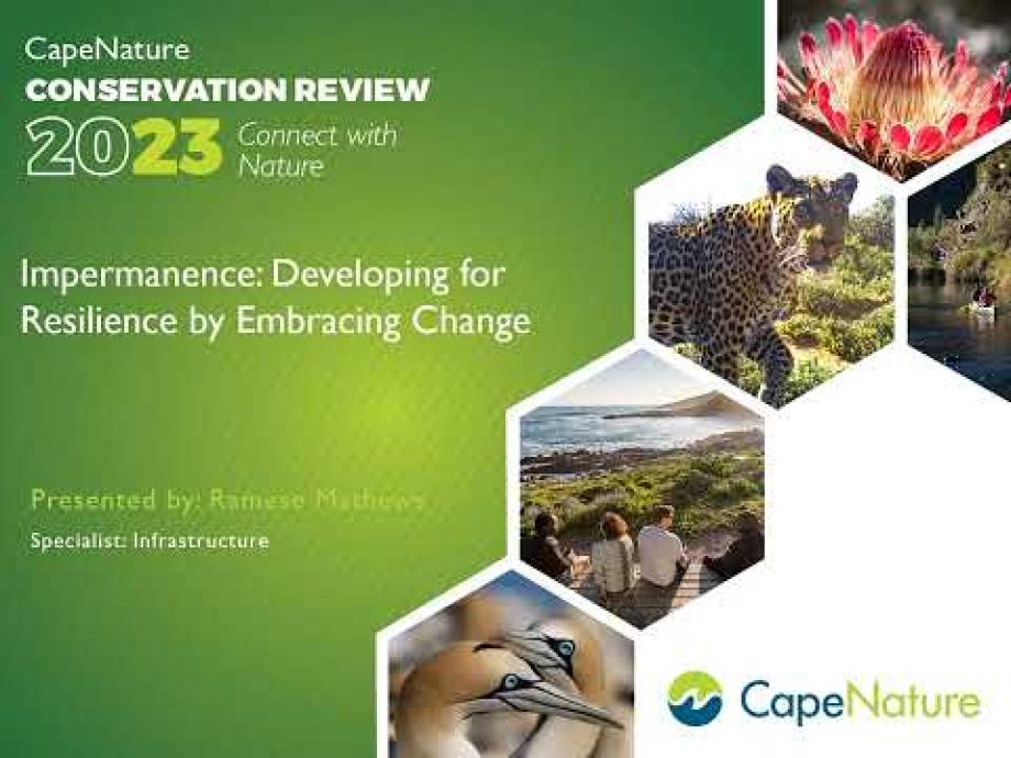 Image related to website content Image related to website content