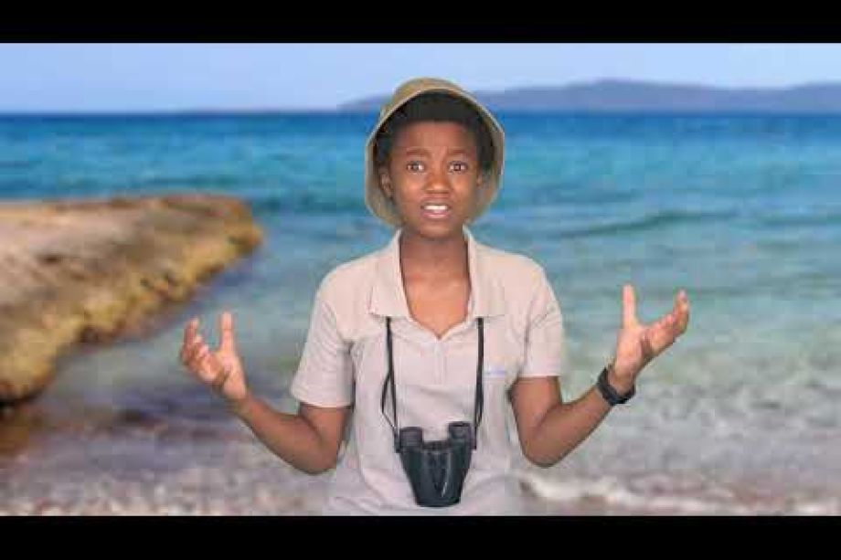 Image related to website content Image related to website content