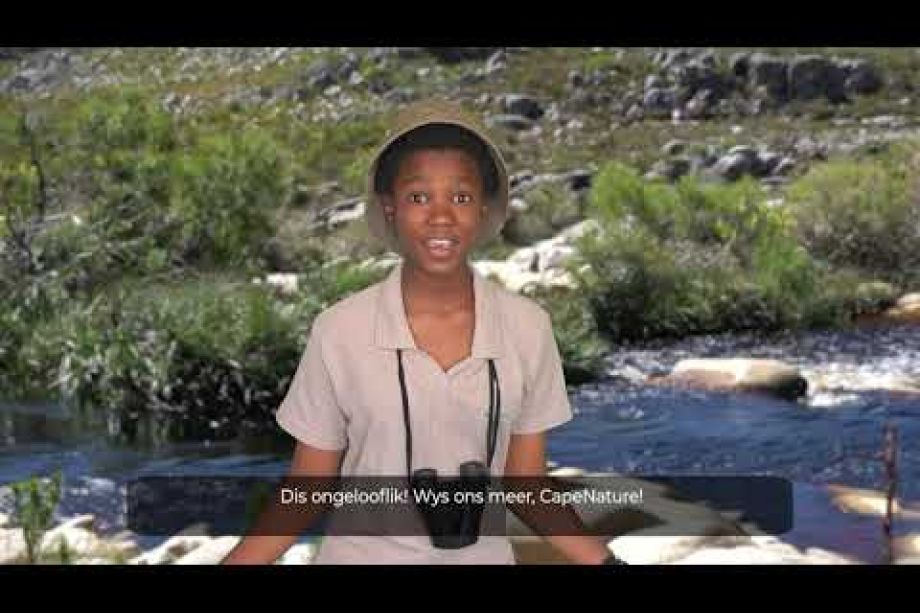 Image related to website content Image related to website content