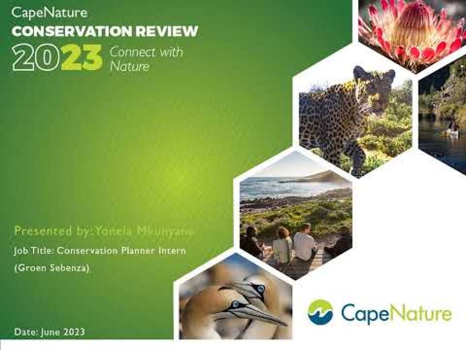 Image related to website content Image related to website content