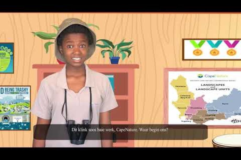 Image related to website content Image related to website content