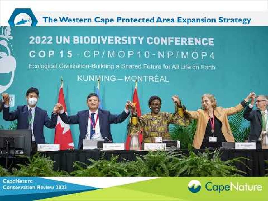 Image related to website content Image related to website content