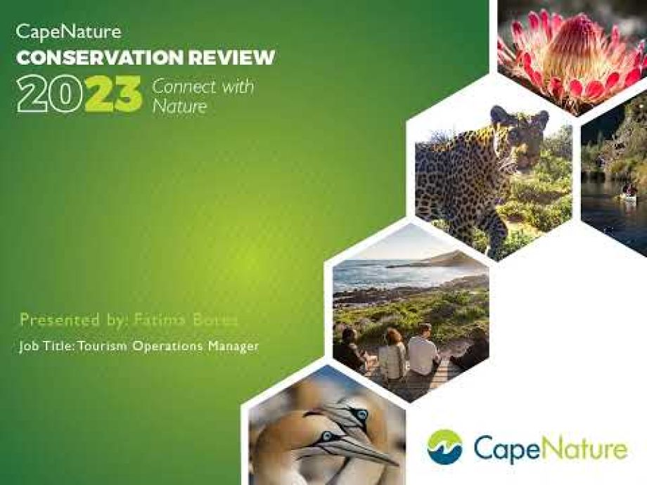 Image related to website content Image related to website content