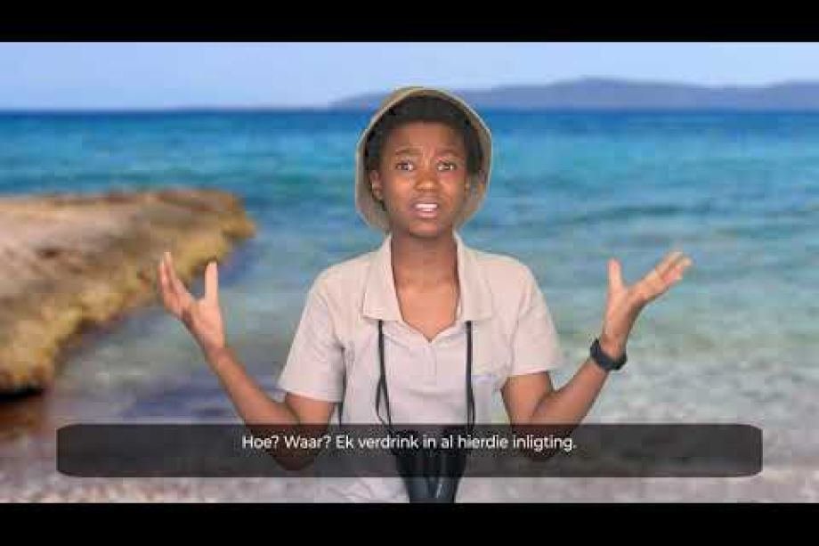 Image related to website content Image related to website content