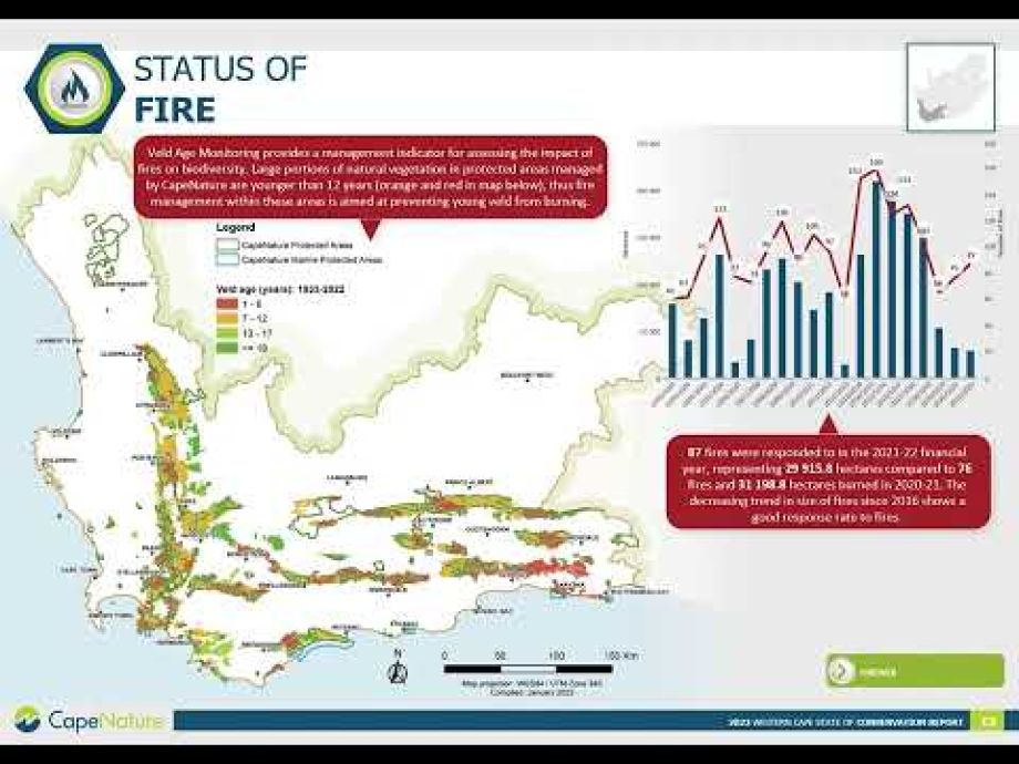 Image related to website content Image related to website content