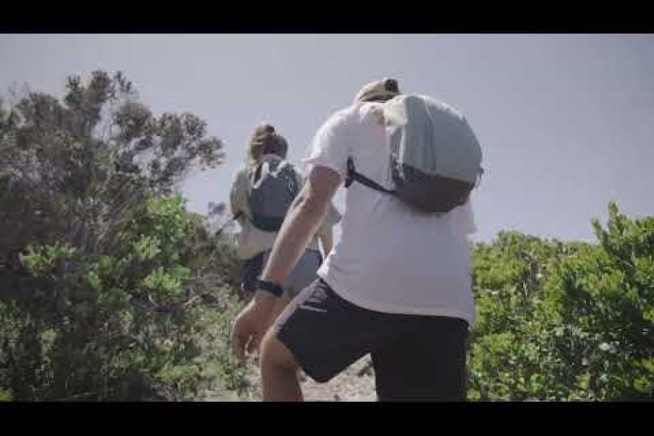 Image related to website content Image related to website content