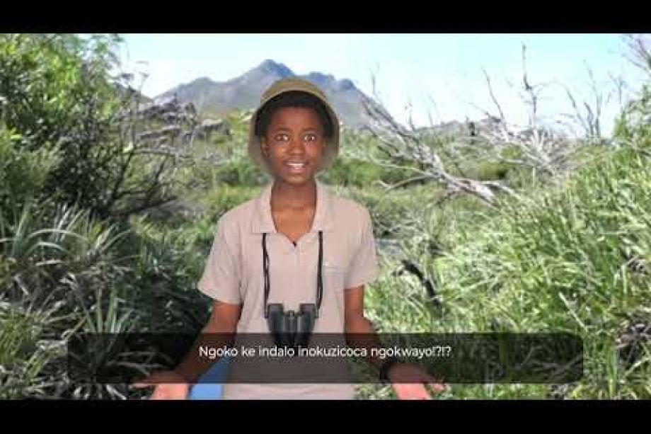 Image related to website content Image related to website content