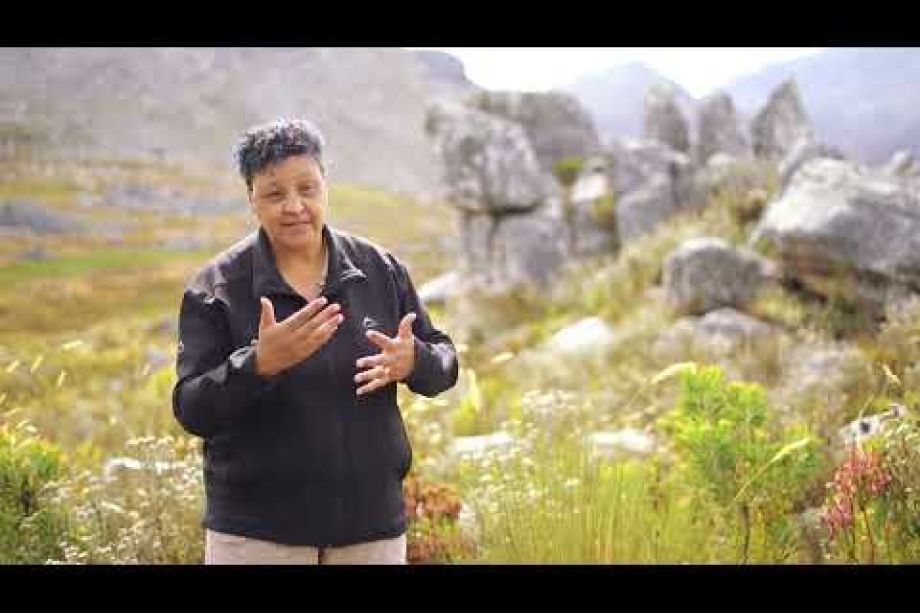 Image related to website content Image related to website content