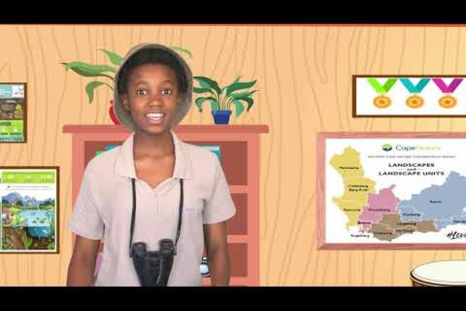 Image related to website content Image related to website content