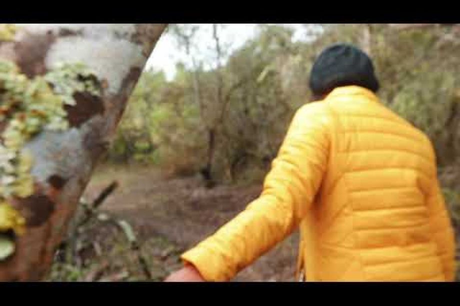 Image related to website content Image related to website content