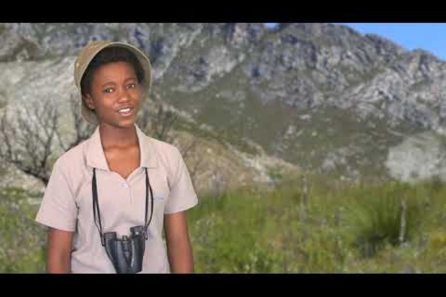 Image related to website content Image related to website content