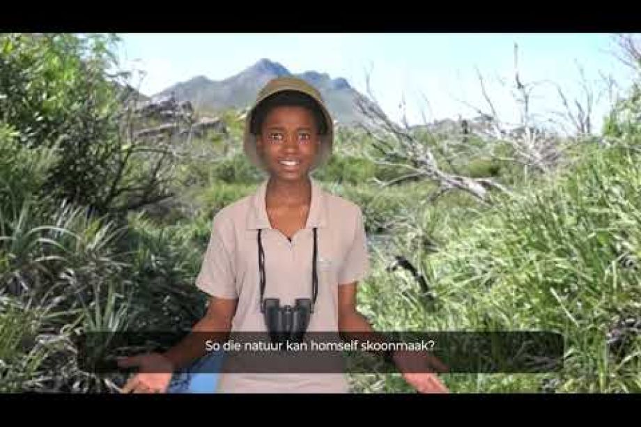 Image related to website content Image related to website content