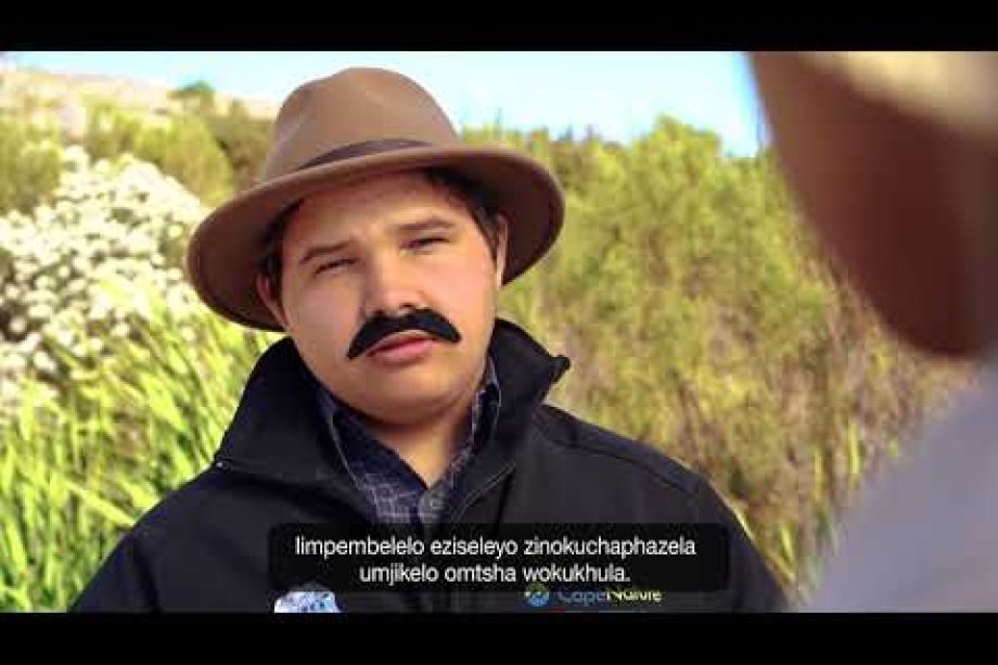 Image related to website content Image related to website content