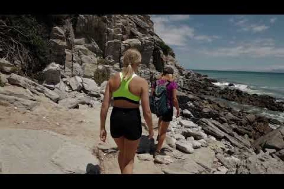 Image related to website content Image related to website content