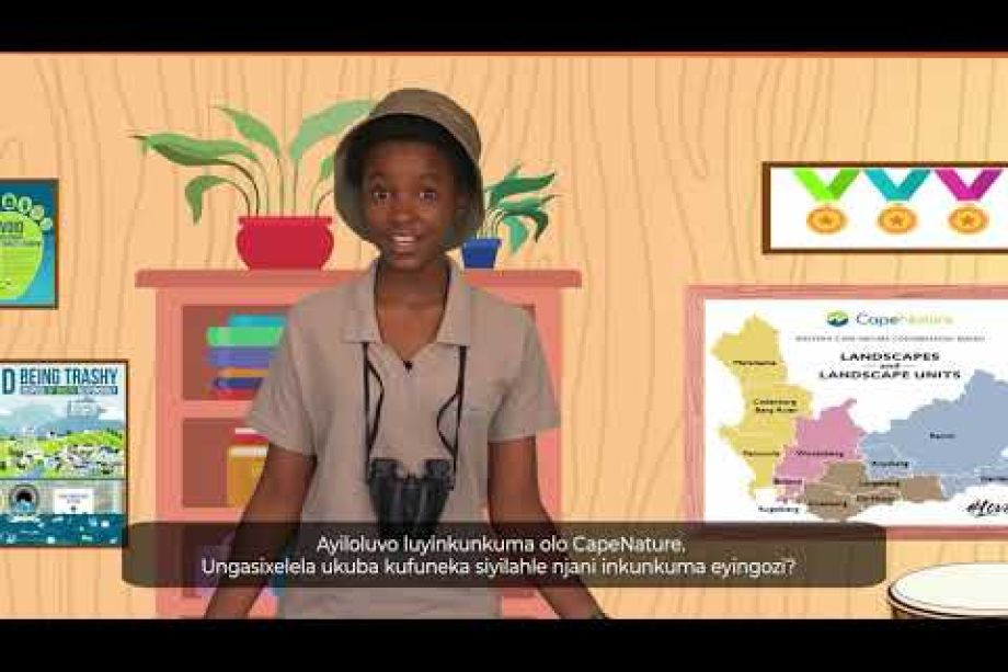 Image related to website content Image related to website content