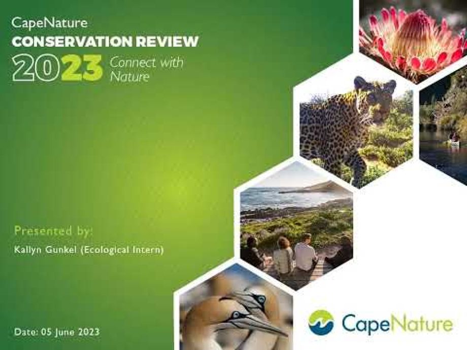 Image related to website content Image related to website content