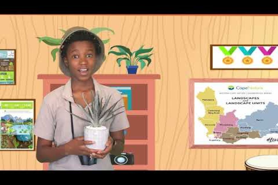 Image related to website content Image related to website content