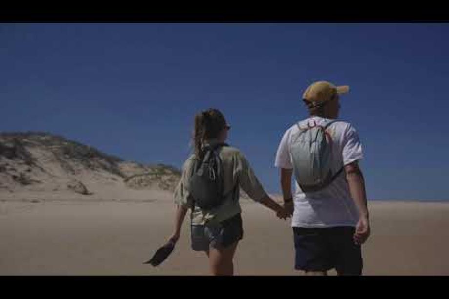 Image related to website content Image related to website content