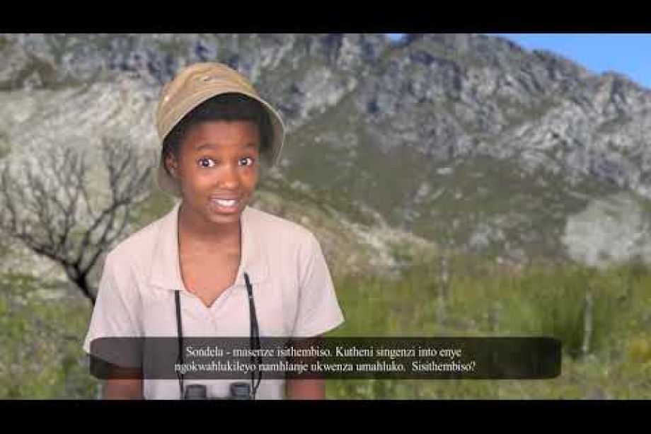 Image related to website content Image related to website content